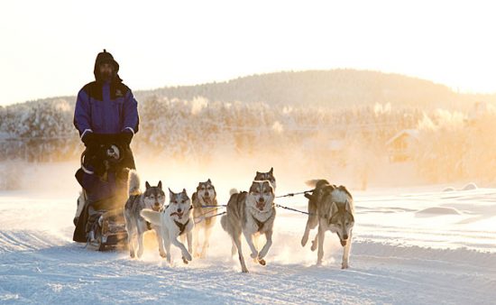 Finnish Lapland
